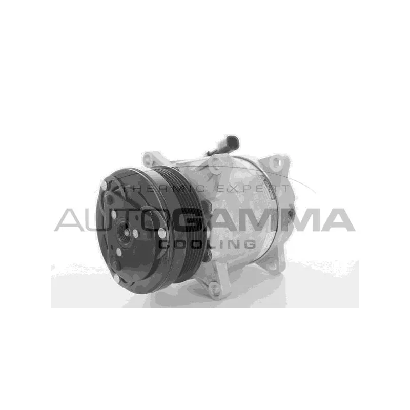 Compresseur, climatisation AUTOGAMMA 118462