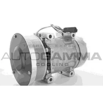 Compresseur, climatisation AUTOGAMMA 118471