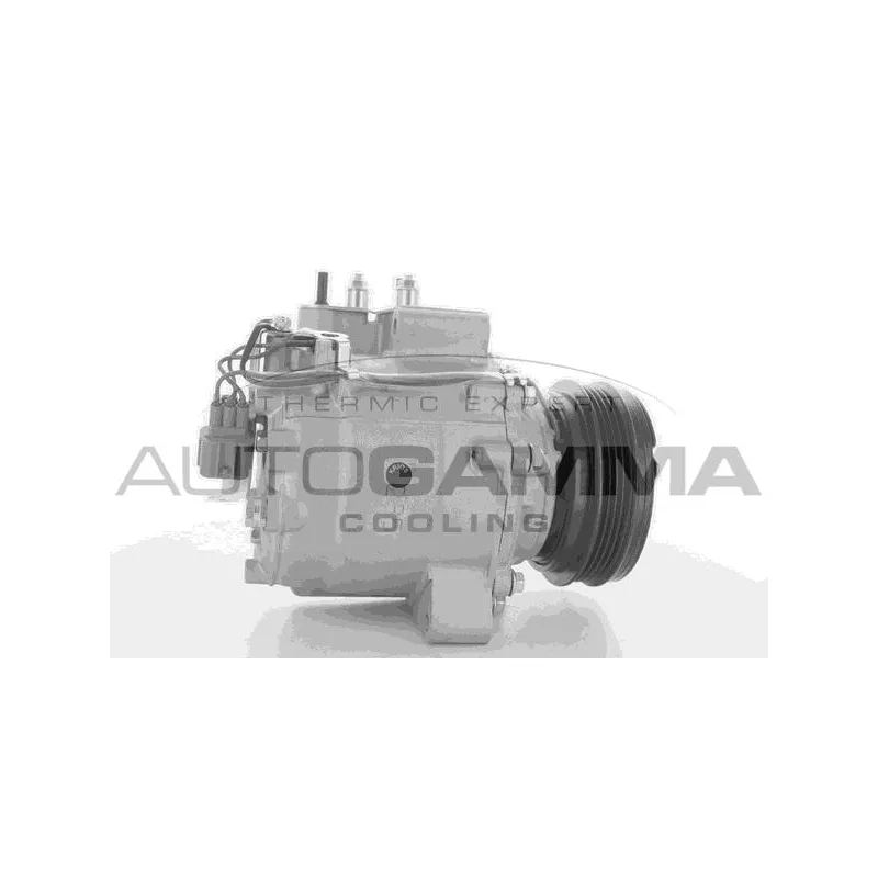 Compresseur, climatisation AUTOGAMMA 118478