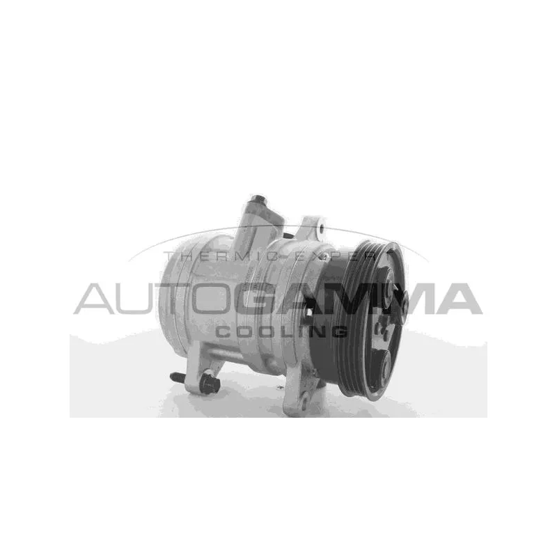 Compresseur, climatisation AUTOGAMMA 118483