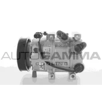 Compresseur, climatisation AUTOGAMMA 118486