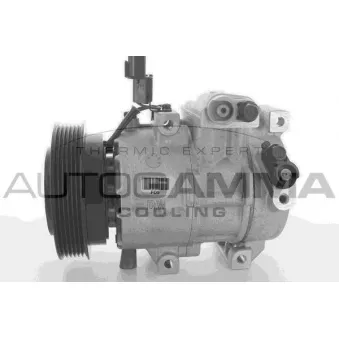 Compresseur, climatisation AUTOGAMMA 118487