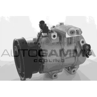 Compresseur, climatisation AUTOGAMMA 118490