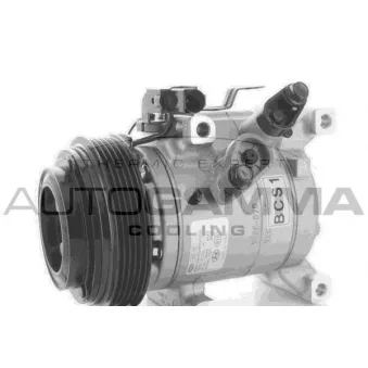 Compresseur, climatisation AUTOGAMMA 118493