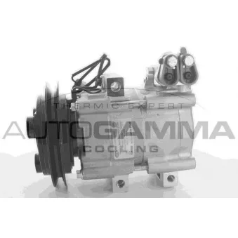 Compresseur, climatisation AUTOGAMMA 118495