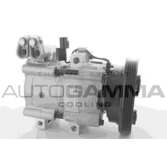 Compresseur, climatisation AUTOGAMMA 118496