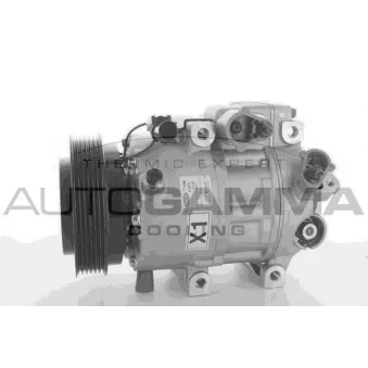 Compresseur, climatisation AUTOGAMMA 118501