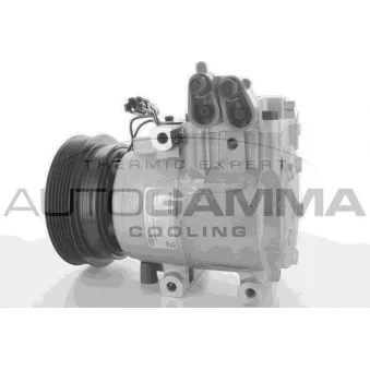 Compresseur, climatisation AUTOGAMMA 118502
