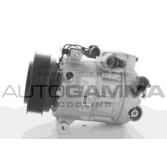 Compresseur, climatisation AUTOGAMMA 118505