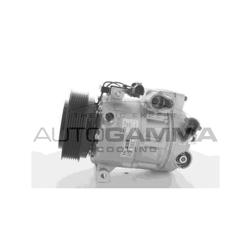 Compresseur, climatisation AUTOGAMMA 118505