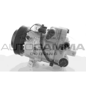 Compresseur, climatisation AUTOGAMMA 118507