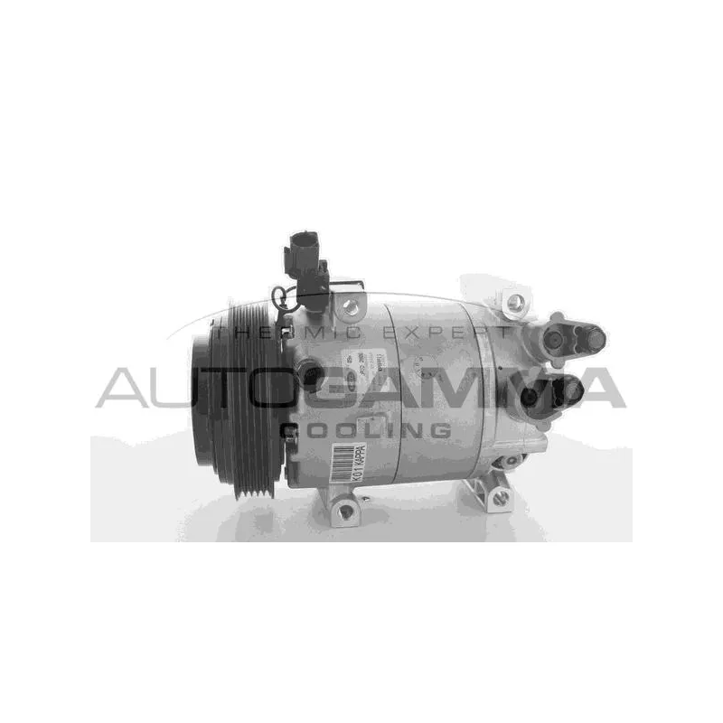 Compresseur, climatisation AUTOGAMMA 118510