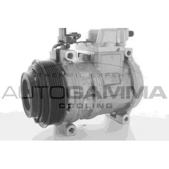 Compresseur, climatisation AUTOGAMMA 118513