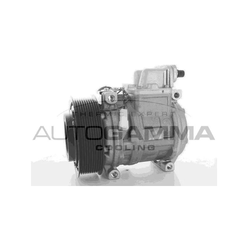 Compresseur, climatisation AUTOGAMMA 118516