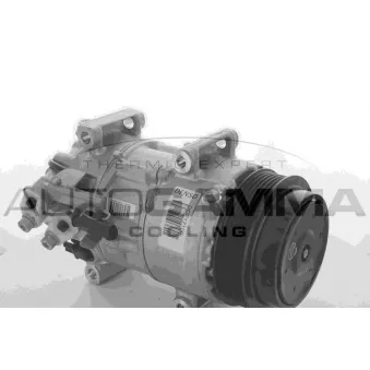 Compresseur, climatisation AUTOGAMMA 118520