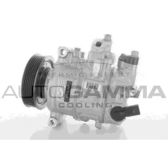 Compresseur, climatisation AUTOGAMMA 118534