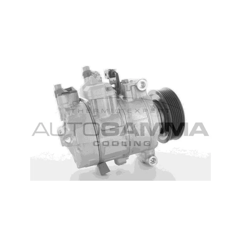 Compresseur, climatisation AUTOGAMMA 118541