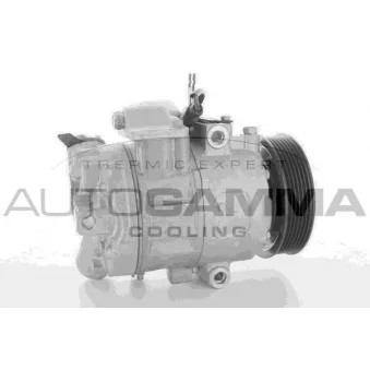 Compresseur, climatisation AUTOGAMMA 118544