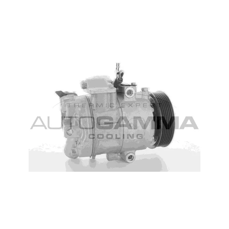 Compresseur, climatisation AUTOGAMMA 118544