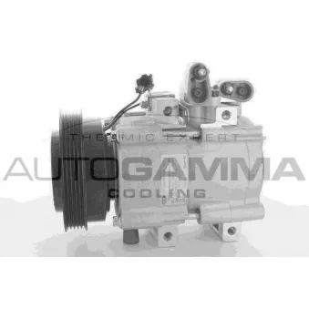 Compresseur, climatisation AUTOGAMMA 118546