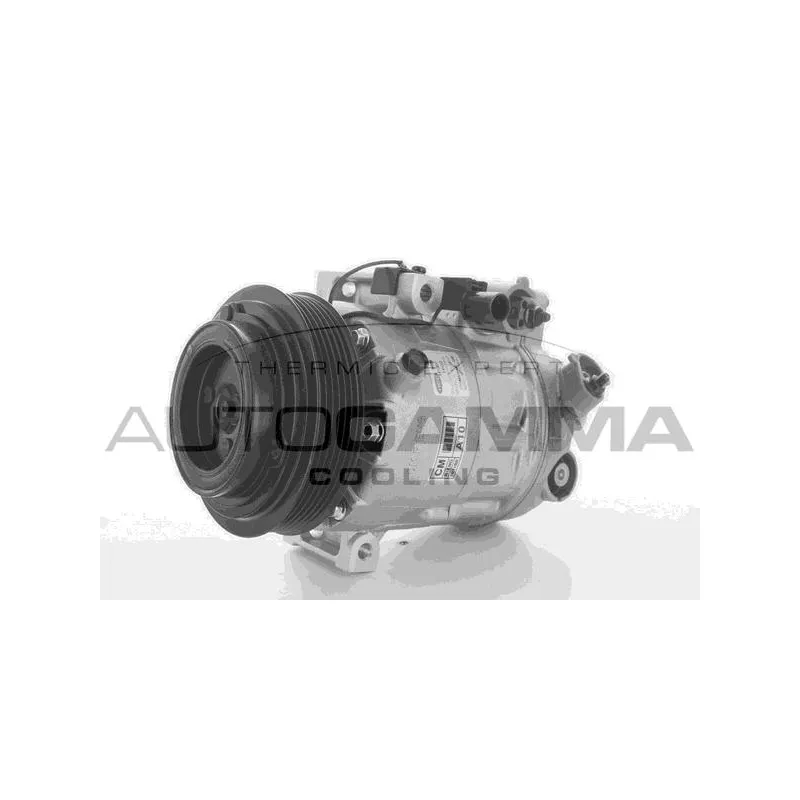Compresseur, climatisation AUTOGAMMA 118547