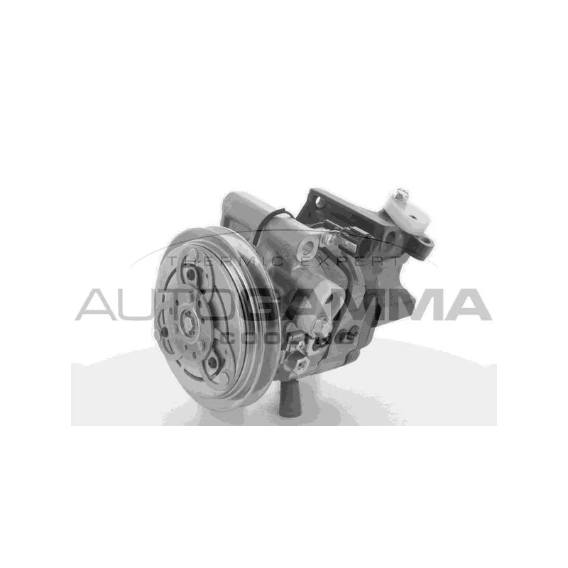 Compresseur, climatisation AUTOGAMMA 118548