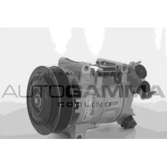 Compresseur, climatisation AUTOGAMMA 118553