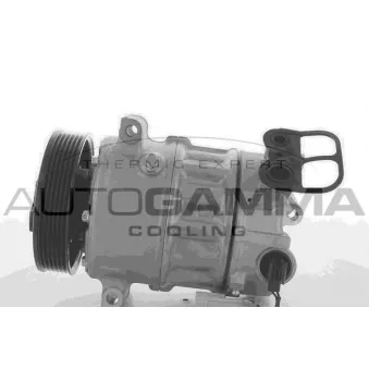 Compresseur, climatisation AUTOGAMMA 118555