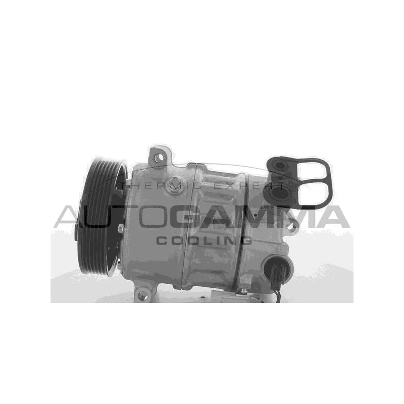 Compresseur, climatisation AUTOGAMMA 118555