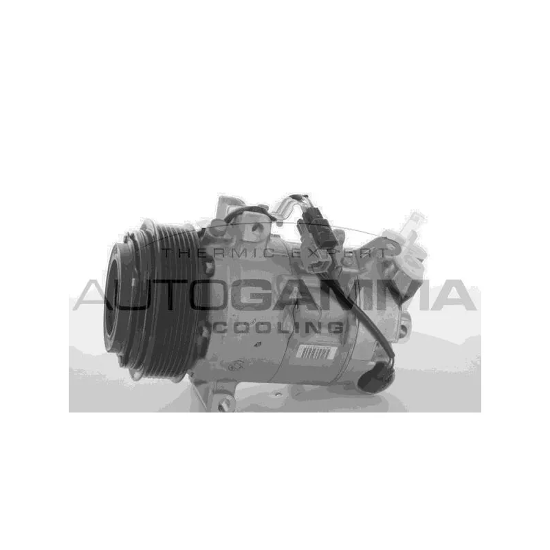 Compresseur, climatisation AUTOGAMMA 118562