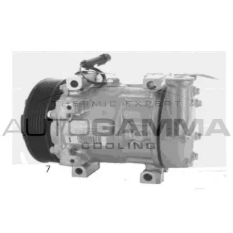 Compresseur, climatisation AUTOGAMMA 118567