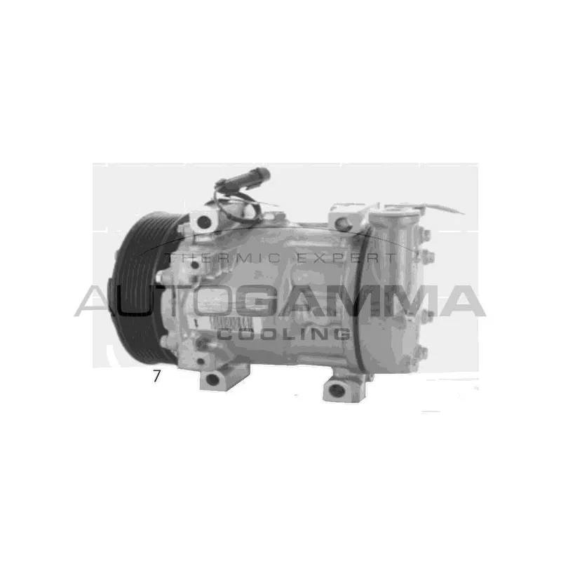 Compresseur, climatisation AUTOGAMMA 118567