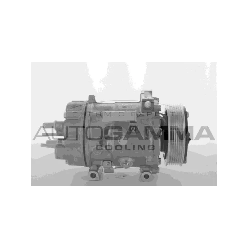 Compresseur, climatisation AUTOGAMMA 118570