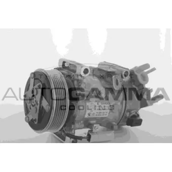 Compresseur, climatisation AUTOGAMMA 118571