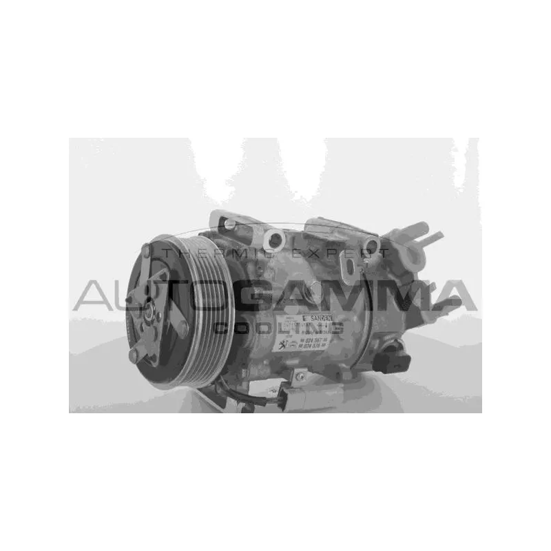 Compresseur, climatisation AUTOGAMMA 118571
