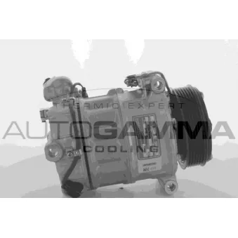 Compresseur, climatisation AUTOGAMMA 118572