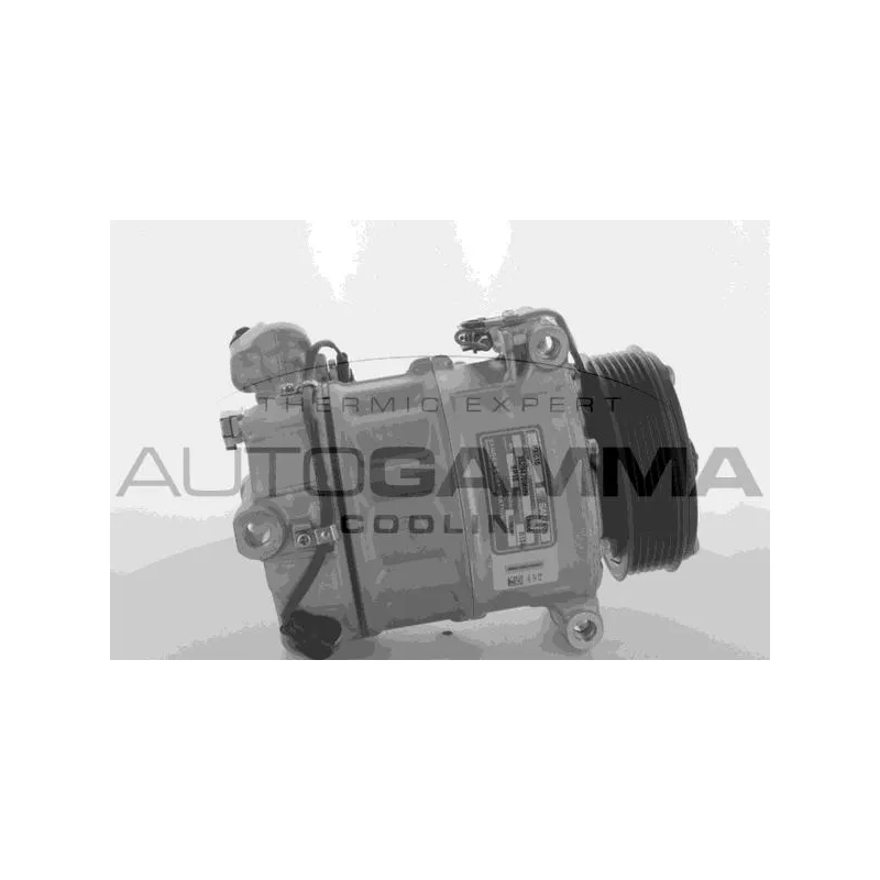 Compresseur, climatisation AUTOGAMMA 118572