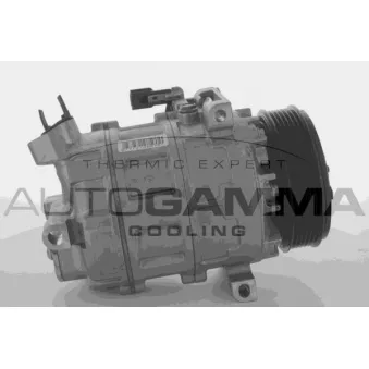 Compresseur, climatisation AUTOGAMMA 118575