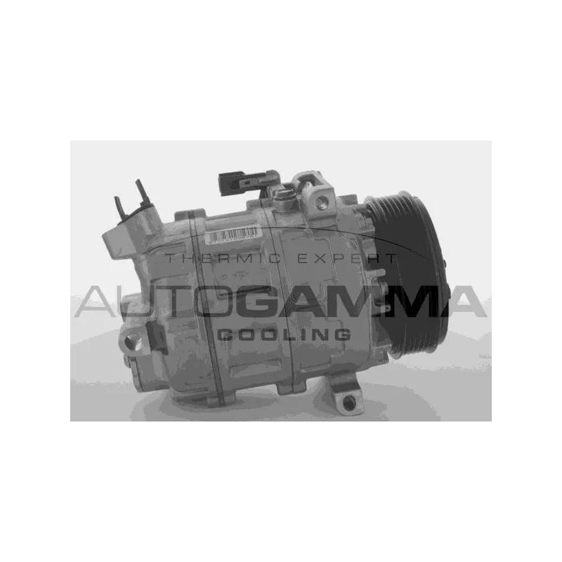 Compresseur, climatisation AUTOGAMMA 118575