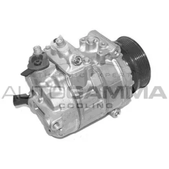 Compresseur, climatisation AUTOGAMMA 118578
