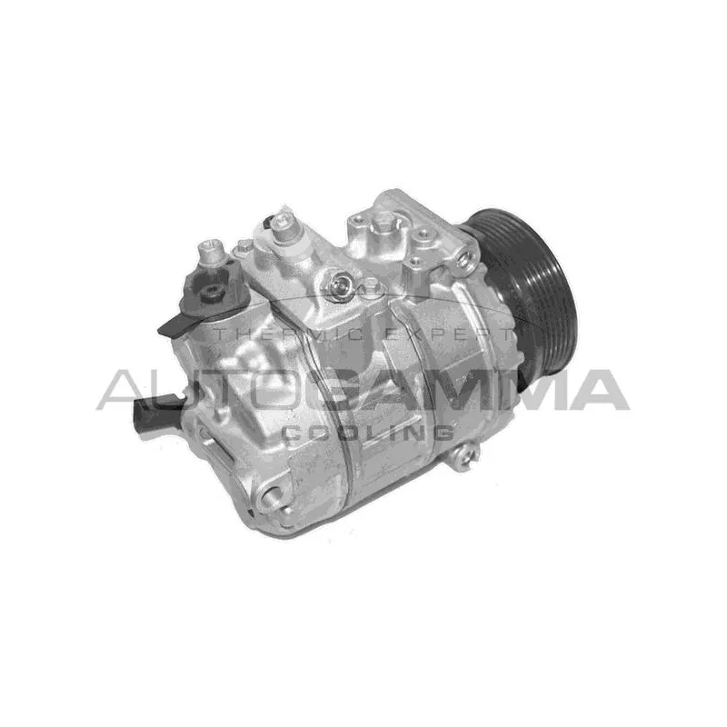 Compresseur, climatisation AUTOGAMMA 118578