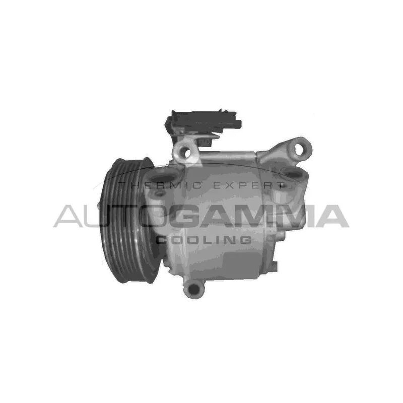 Compresseur, climatisation AUTOGAMMA 118591