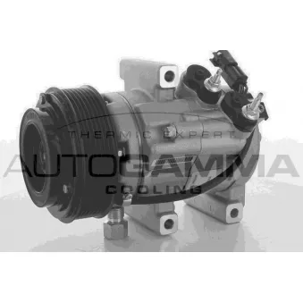 Compresseur, climatisation AUTOGAMMA 118593