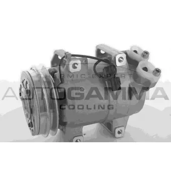 Compresseur, climatisation AUTOGAMMA 118601