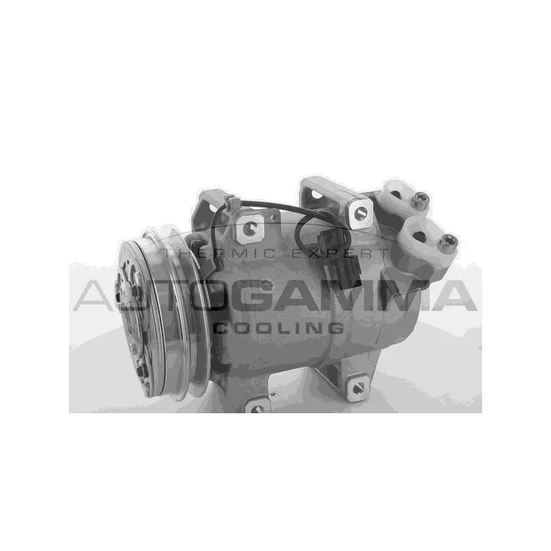 Compresseur, climatisation AUTOGAMMA 118601