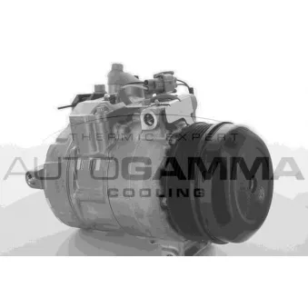 Compresseur, climatisation AUTOGAMMA 118602