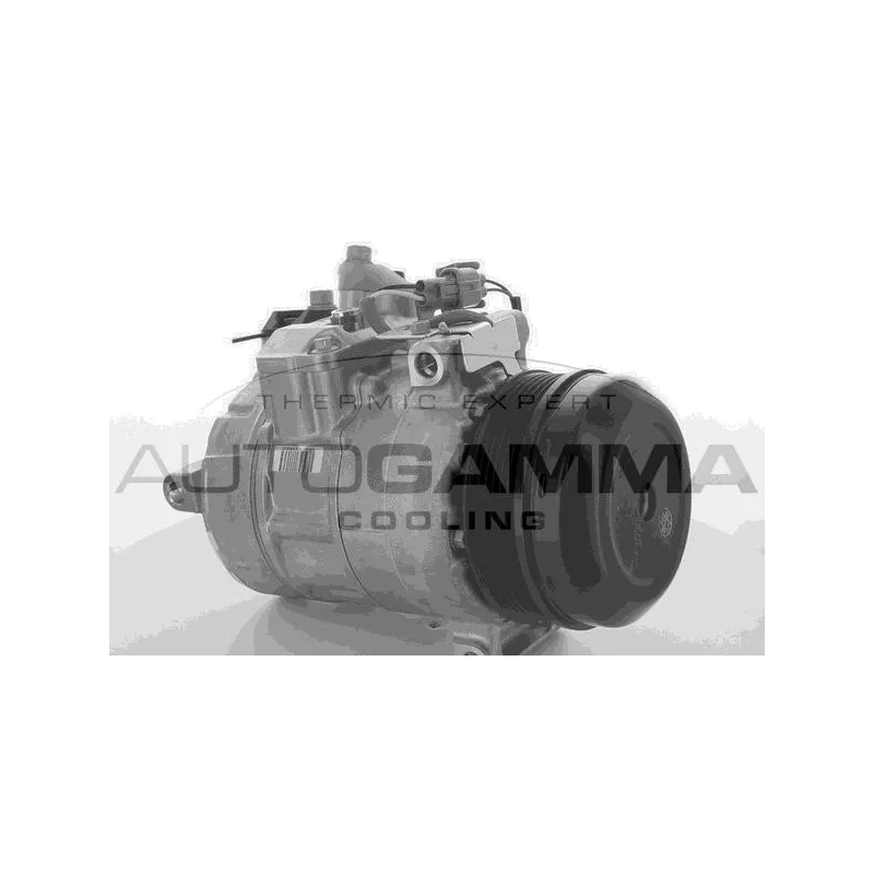 Compresseur, climatisation AUTOGAMMA 118602