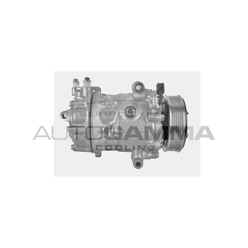 Compresseur, climatisation AUTOGAMMA 118609