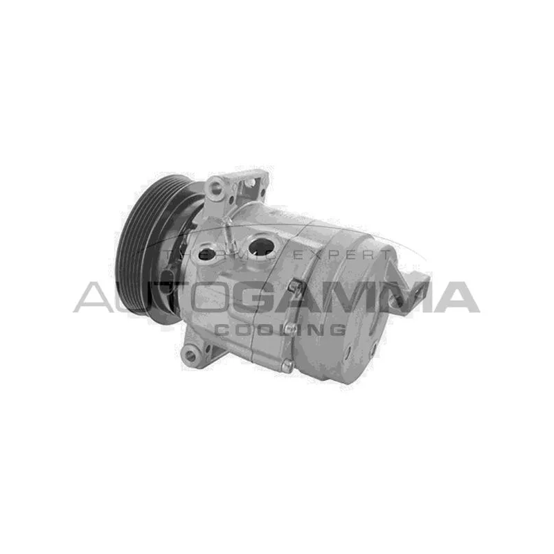 Compresseur, climatisation AUTOGAMMA 118613