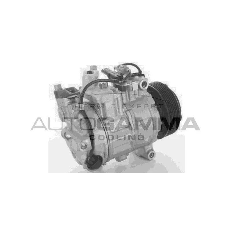Compresseur, climatisation AUTOGAMMA 118619